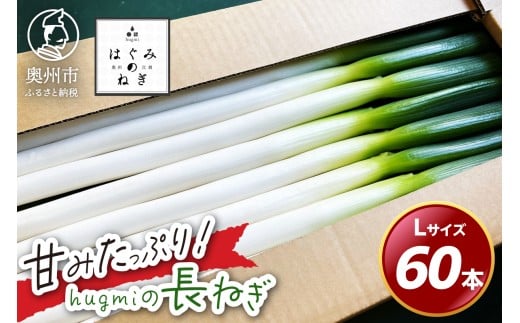 hugmiの長ねぎ 6kg (3kg×2個) Lサイズ 奥州市産 甘みたっぷり 冬ねぎ 冬野菜 生鮮食品 新鮮 野菜 食品 冷蔵配送 期間限定 離島配送不可 岩手県 奥州市 [BJ011]
