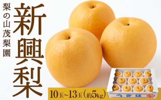 【先行予約】 梨の山茂梨園 新興梨 10玉から13玉 （約5kg） 【2026年10月上旬から11月上旬 出荷予定】 梨 なし ナシ 新興 しんこう 果物 くだもの フルーツ 果実 ジューシー お取り寄せ 福岡県 うきは市