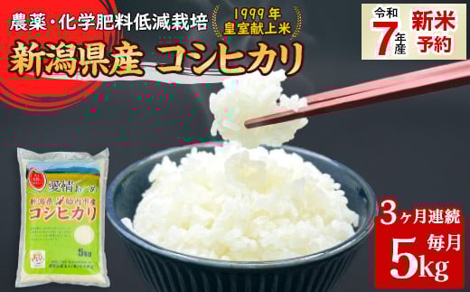 16-K53【3ヶ月連続お届け】新潟県胎内市産コシヒカリ5kg