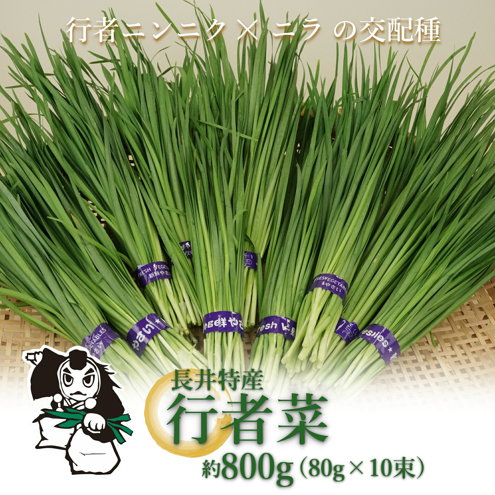 【ふるさと納税】【2025年5月～9月発送】長井特産行者菜約800g（80g×10束）_H100(R7)