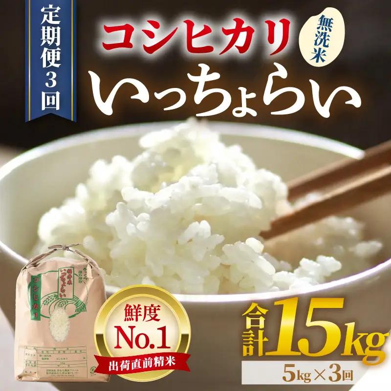 【先行予約】【令和8年産・新米】【一等米】《定期便3回》いっちょらい 無洗米 5kg × 3回（計15kg）／ 福井県産 ブランド米 コシヒカリ ご飯 白米 新鮮 大賞 受賞 ※2026年10月上旬以