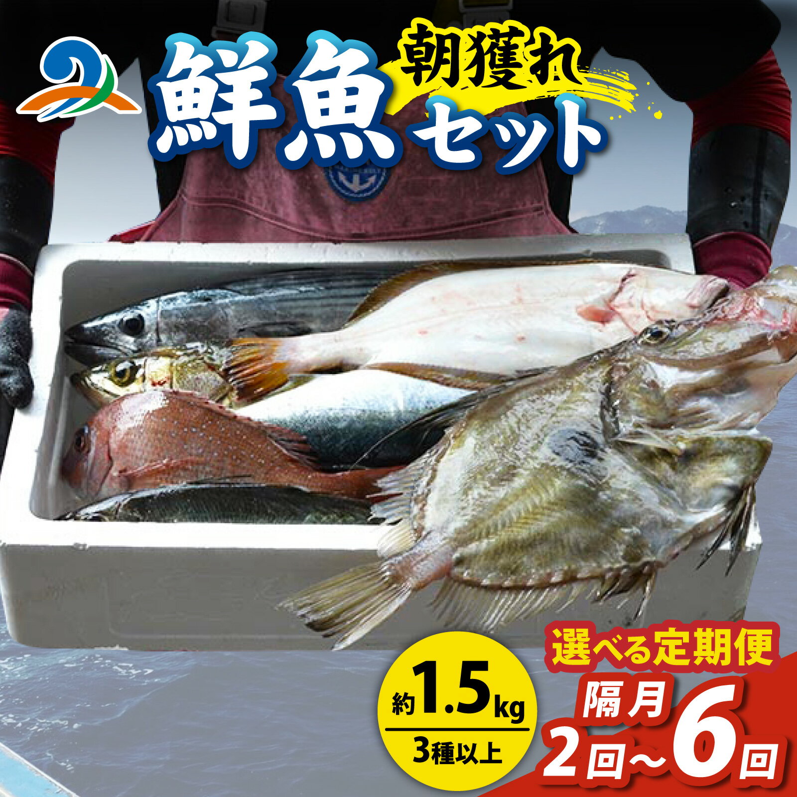 【ふるさと納税】【選べる定期便　隔月2～6回】【朝獲り】漁師厳選 鮮魚セット (小) 3種類以上 約1.5kg ／ 魚 詰め合わせ 新鮮 煮物 焼き物 お造り 刺身 晩酌 食卓 漁師BBQ 冷蔵 隔月 送料無料