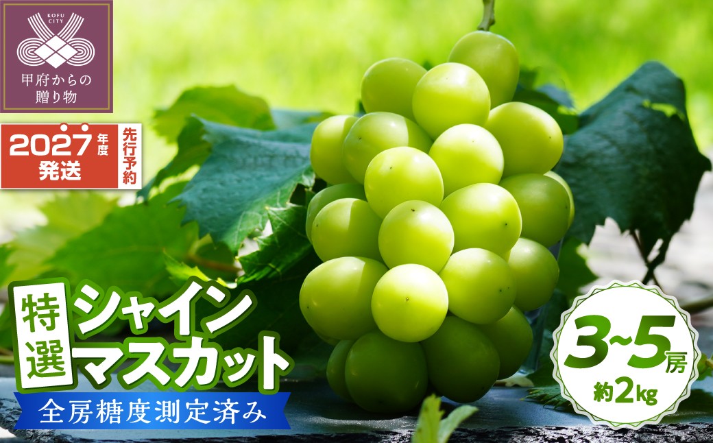 特選 シャインマスカット 約2kg（3～5房）