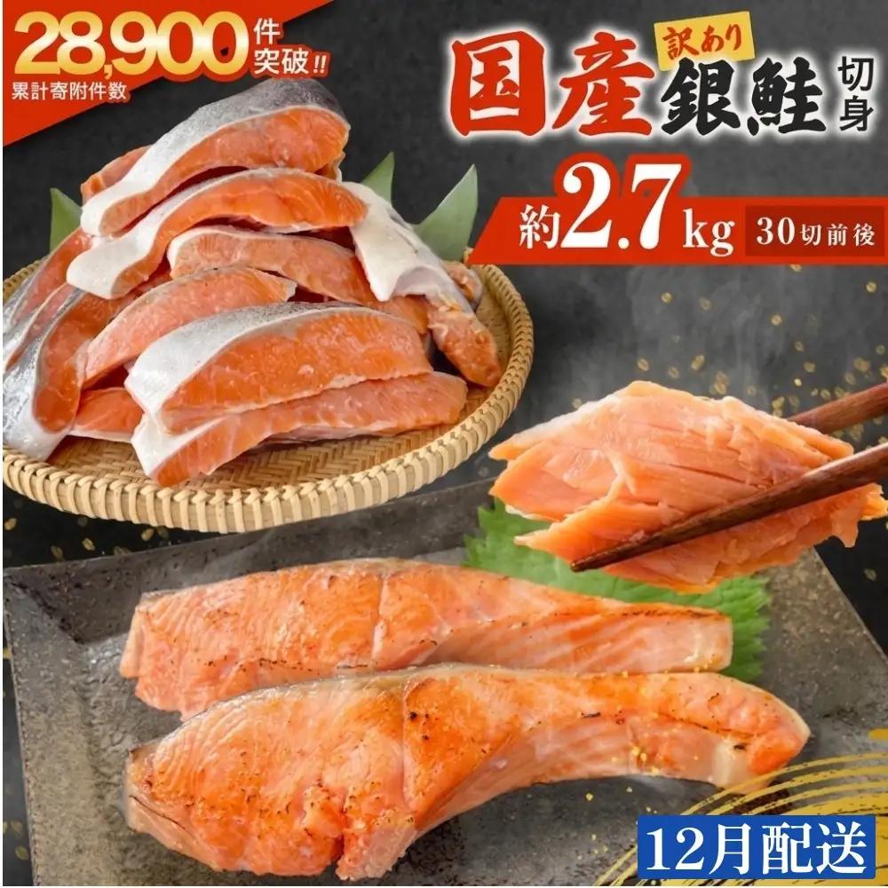 【12月配送】 訳あり 国産 銀鮭 定塩切身 どっさり 2.7kg [宮城県 石巻市] サケ しゃけ 魚 鮭