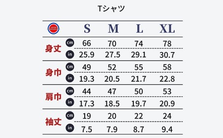 揖斐川町 マンホールTシャツ 黒 Mサイズ
