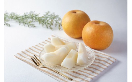 【先行予約受付】和歌山県産の美味しい梨 約4kg （10～13玉入り）【2025年8月中旬頃から順次発送予定】【mat102A】