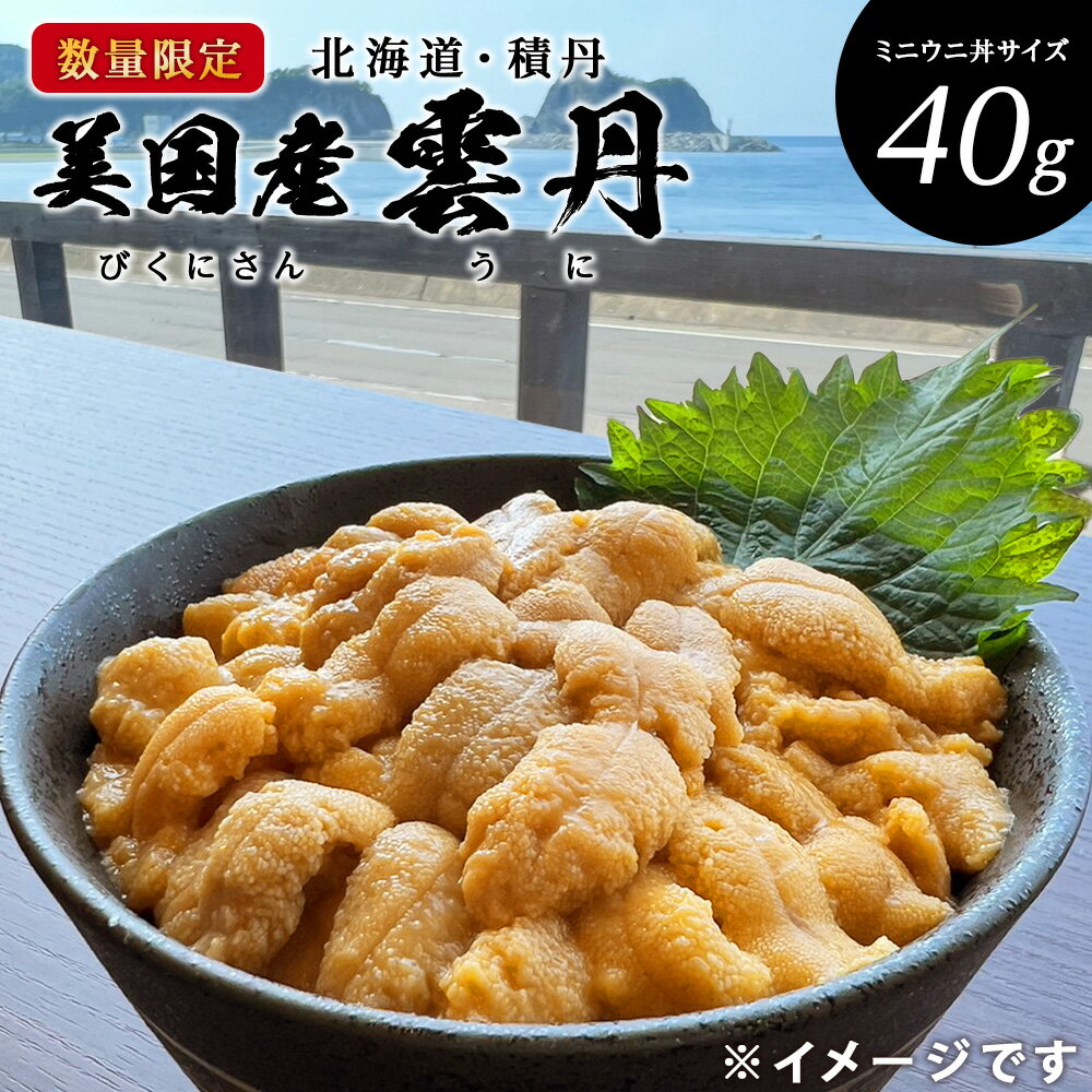 【ふるさと納税】【期間限定】美国産雲丹40g ミニウニ丼サイズ 北海道 ウニ うに「2025年8月24日決裁分まで年内発送」北海道ふるさと納税 積丹町 ふるさと納税 海鮮 北海道 塩水 海鮮 うに 生うに 北海道 うに 雲丹 通販 ギフト ウニ 贈答品 贈り物