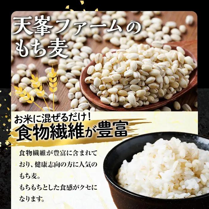 ＜定期便・総計6回＞大分県産もち麦 キラリモチ(総計9kg(1.5kg×6回))ダイエット 健康 業務用【212400200】【天峯ファーム】
