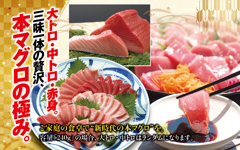 本マグロ 大トロ&中トロ＆赤身セット 500g（養殖)  【配達日指定不可】濃厚な赤身と高級部位トロの鮪好きにはたまらないセット 【nks110D】