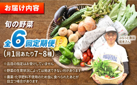 【全6回定期便】有機農法・旬の野菜詰め合わせ 五島市 / ぷらっと農園 [PDS008] 新鮮 野菜 やさい おたのしみ野菜 おまかせ野菜 お取り寄せ野菜 新鮮 野菜 やさい おたのしみ野菜 おまかせ