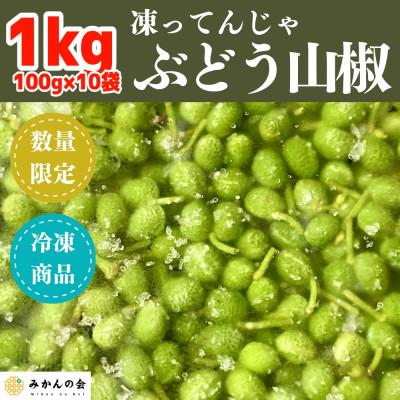ふるさと納税 有田川町 冷凍山椒 凍ってんじゃ ぶどう山椒 1kg ( 100g × 10袋 ) 和歌山県産 産地直送