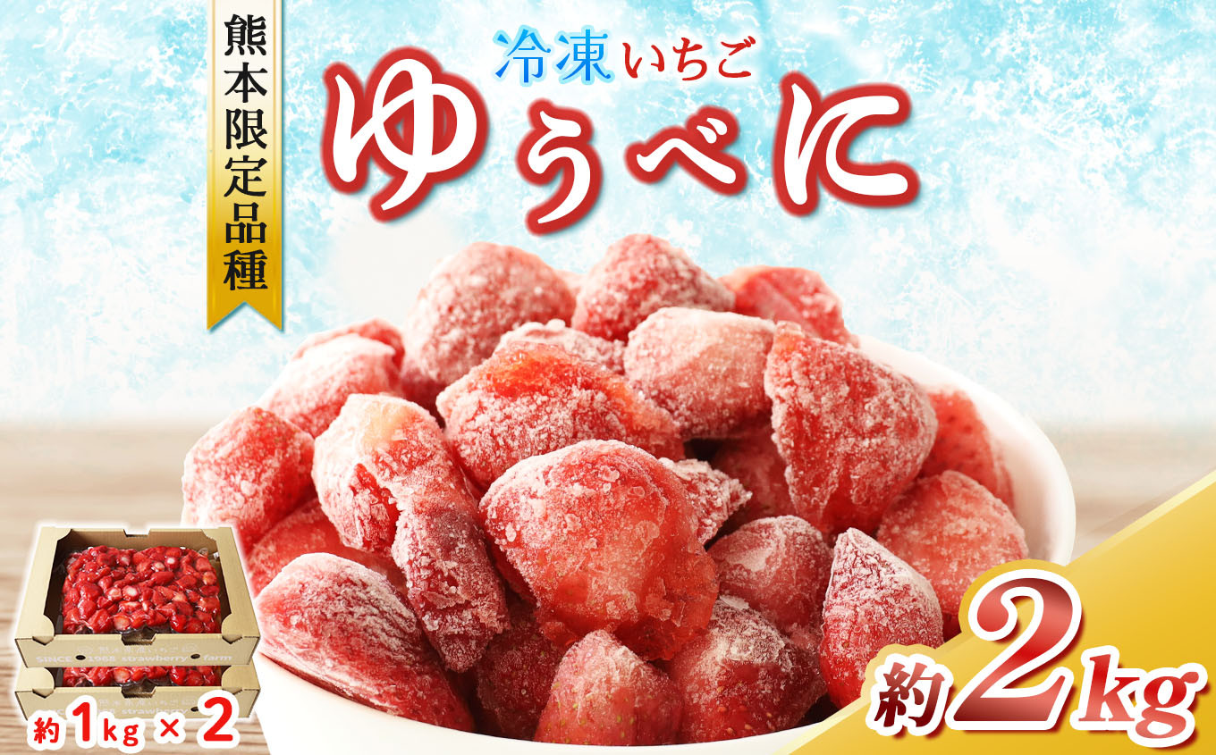 
冷凍 いちご ゆうべに 約 2kg ｜ フルーツ 果物 シャーベット アイス イチゴ いちご 苺 赤いちご 熊本県 玉名市
