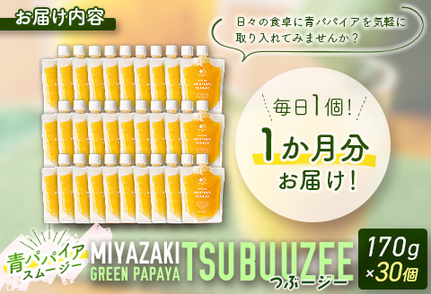 青パパイアスムージー 30個入 MIYAZAKI GREEN PAPAYA TSUBUUZEE ～青パパイアの粒々とフレッシュな柑橘の味わい～