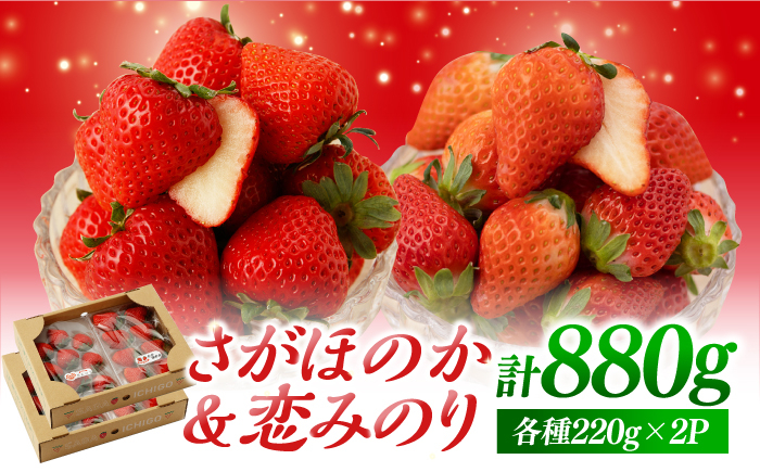 
            【先行予約】食べ比べ！恋みのり＆さがほのか 計880g（各種220g×2パック）詰め合わせ セット【鐘ヶ江善広】 いちご 苺 イチゴ こいみのり さがほのか 食べ比べ フルーツ 果物 甘い あまい  アフター対応 アフターフォロー 期間限定 産地直送 国産 佐賀県産 さがいちご 九州 佐賀県 白石町 【鐘ヶ江善広】[IBH011]
          