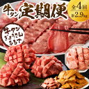 【ふるさと納税】牛タン定期便【全4回】《 牛タン タン 厳選 定期便 牛肉 牛 焼肉 BBQ お取り寄せグルメ 食品 バーベキュー 送料無料　お取り寄せ 》