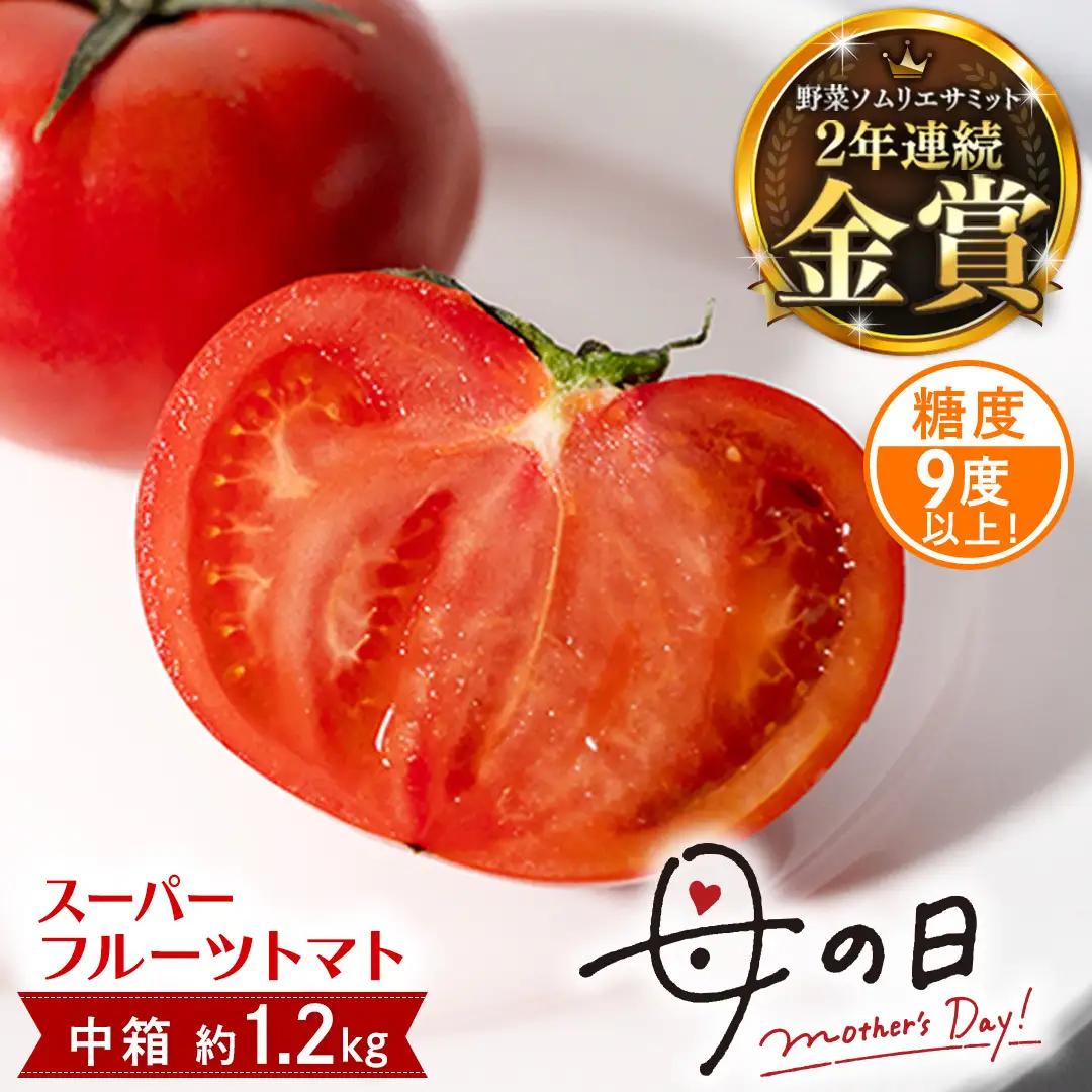 【母の日専用】 スーパーフルーツトマト 中箱 約1.2kg ×1箱 糖度9度以上 《5月3日～9日お届け メッセージカード付》
