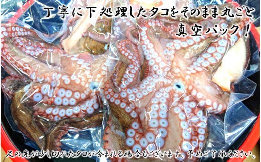 船上活き締め！生たこ丸ごと約1kg（約1～４杯）