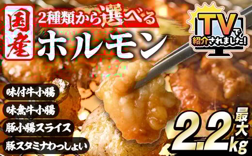 
            ＼テレビで紹介されました！／＜選べる2種＞ホルモン(牛×豚ホルモン4種 合計2.2kg/牛ホルモン2種 合計2kg)国産 小腸 味付 パック 詰め合わせ 鍋 モツ おかず 小分け 個包装 焼肉
          