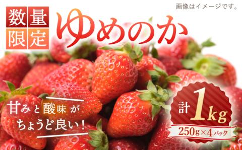 【先行予約】【数量限定】ゆめのか 苺 約1kg（250g×4パック）＜川原農園＞ [CDR009]