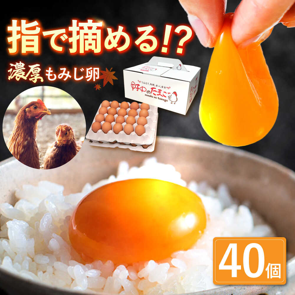 【ふるさと納税】平飼い もみじ の 高級 たまご 40個 ※12月発送なし【野中鶏卵】[OAC013]