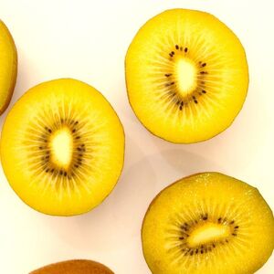 さぬきゴールド キウイフルーツ2.7kg【予約受付中！令和7年10月中旬頃より発送！】【B-60】