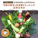 【ふるさと納税】 【自家製堆肥による特別栽培】季節の野菜と自家製ドレッシング詰め合わせ ／ 野菜 やさい ドレッシング 自家製 千葉県 山武市 SMBP002