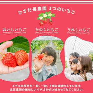 いちご 紅ほっぺ 1箱 計350g | イチゴ べにほっぺ 苺