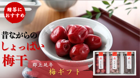 郡上延年梅ギフト 梅干し・赤しそのセット 梅 うめ 梅 うめ