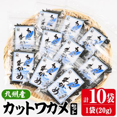 ふるさと納税 佐伯市 九州産 カットわかめ (計10袋・1袋20g入)