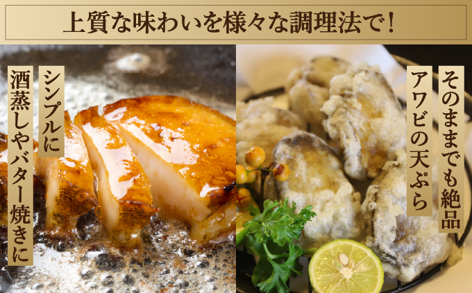 奥尻島産 冷凍 養殖アワビ (3個入り) 1個 約70mm 北海道 奥尻町