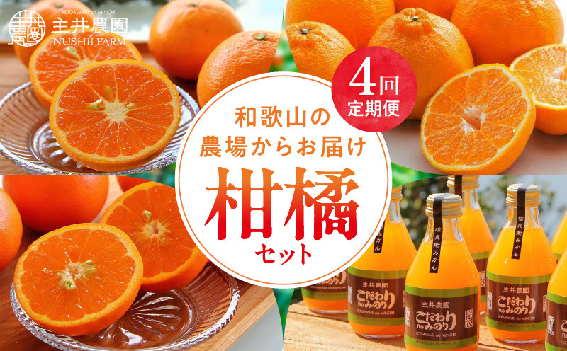 
                  柑橘定期便【4回定期便】樹_ZS69007
                