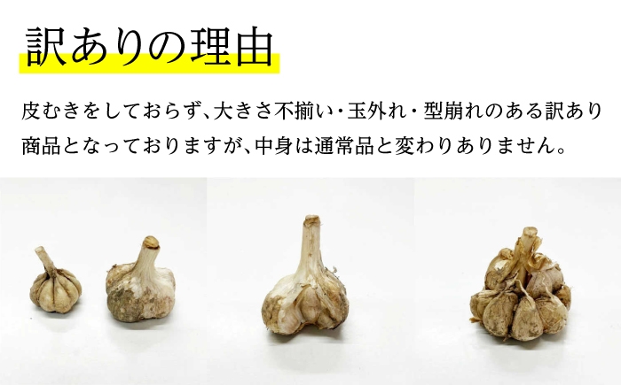にんにく 高知県産 乾燥 ガーリック 薬味 お取り寄せ 訳あり 先行予約