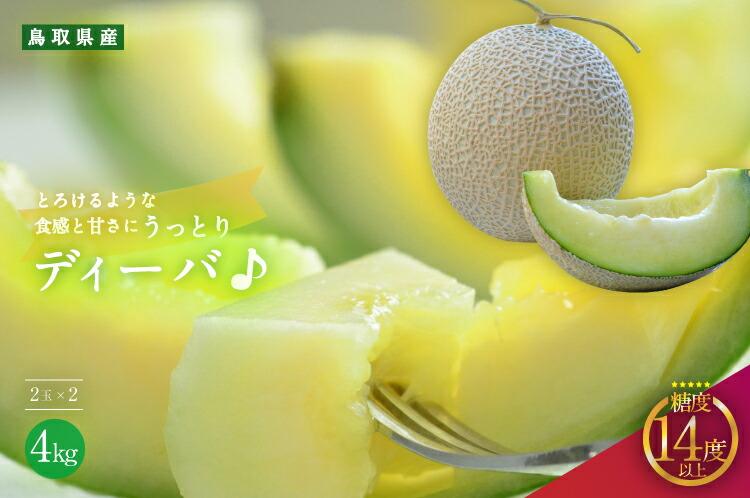 920.【青肉系メロン】ディーバ×２玉（1玉2kg前後×2玉）※離島への配送不可（北海道、沖縄本島は配送可能） 313726_BQ009