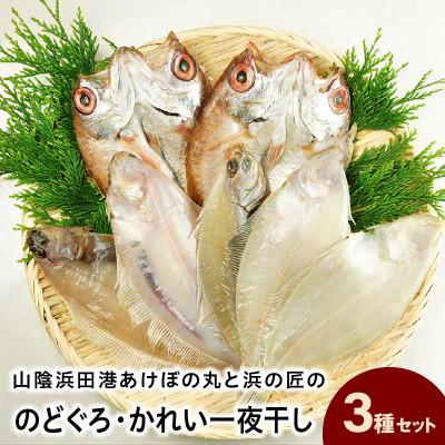 ふるさと納税 浜田市 山陰浜田港あけぼの丸と浜の匠ののどぐろ・かれい一夜干しセット