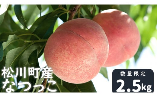KM07-25A 桃 なつっこ 2.5kg以上（6～10玉） ／8月上旬～8月中旬頃 発送予定 //長野県 南信州 松川町産 モモ もも  贈答 産地直送 新鮮  約3kg