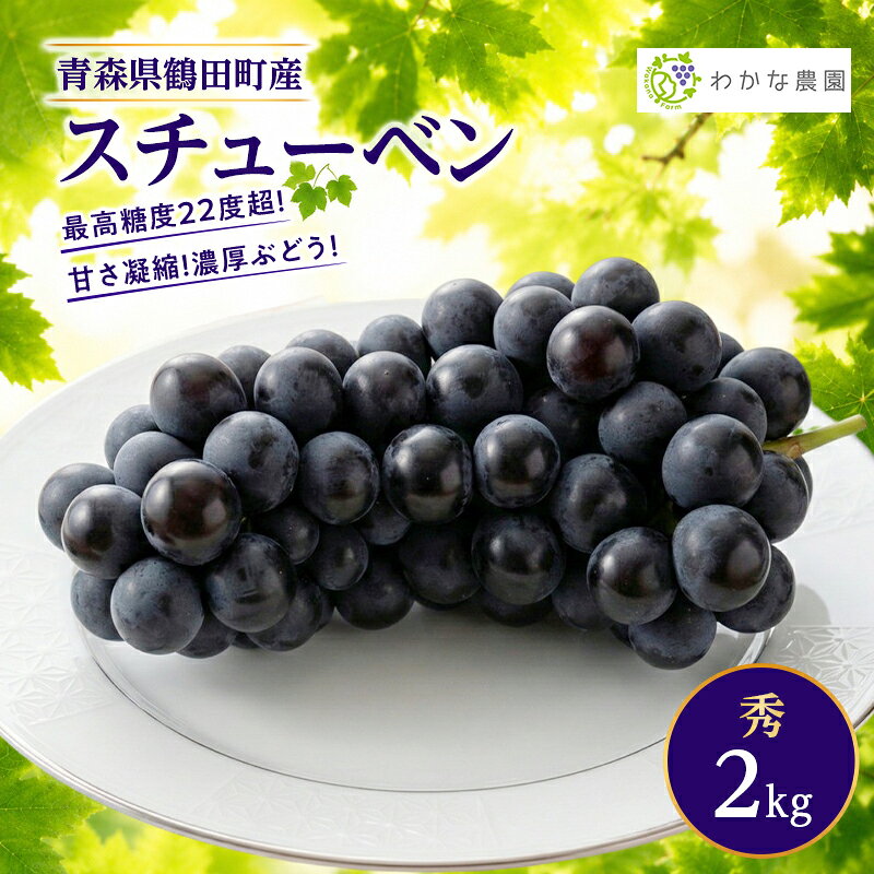 【ふるさと納税】最高糖度22度超！甘さ凝縮！濃厚ぶどうスチューベン(秀)2kg　お届け：2027年1月15日まで