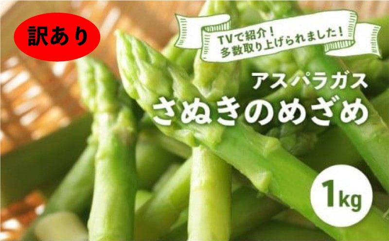
                  【訳あり】【時期限定】 アスパラガス さぬきのめざめ 選べる 春芽 夏芽 1kg アスパラ グリーンアスパラ 野菜 やさい 旬 旬の野菜 季節の野菜 産地直送 香川 香川県 丸亀 丸亀市 冷蔵 冷蔵配送 疲労回復 免疫力向上 食物繊維 ビタミンC 柔らかい 甘い 料理 おかず アスパラベーコン巻き 炒め フライ ポタージュ ふるさと納税アスパラ ふるさと納税野菜 株式会社五色青果
                