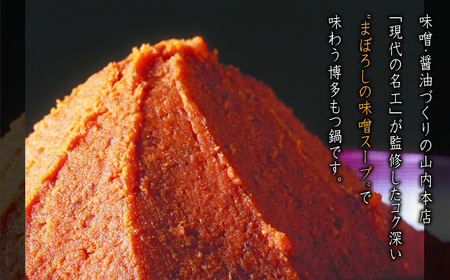 博多もつ鍋セット(九州味噌仕立て) 2～3人前 国産牛もつ300g 4A17
