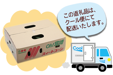 期間限定！予約受付！＜宮崎県産 スイートコーン 約4.5kg＞2025年5月下旬～6月中旬迄に順次出荷【 先行予約 穀物 野菜 甘い 季節限定 とうもろこし おやつ ご飯 スープ サラダ BBQ 】