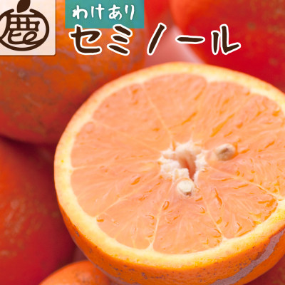家庭用 セミノールオレンジ5kg+250g(傷み補償分)【春みかん】【訳あり】【光センサー選果】【配送不可地域：離島・北海道・沖縄】【1345415】