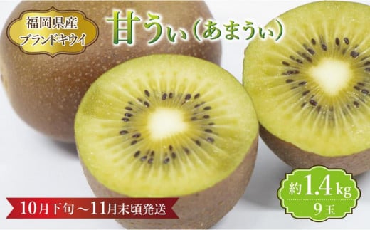 【福岡県産】キウイ『甘うぃ』 約1.4kg