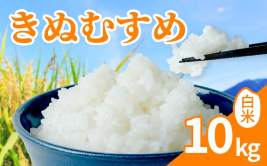 【 R8年産新米 】 新米 令和8年産 きぬむすめ 10kg 白米 米 R8 年産 キヌムスメ 2026年産 国産 農家直送 環境こだわり お試し用 単品 小分け 単品 お米 こめ おこめ ライス コメ 精米 おいしい 農家直送 産地直送 人気 おすすめ 10キロ １０ｋｇ kome okome kinumusume 2026年産 送料無料 滋賀県 日野町 [HF002_R8]