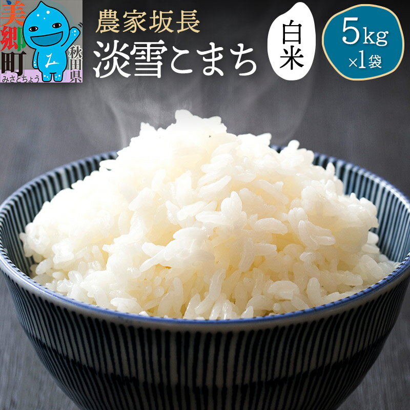 【ふるさと納税】【楽天限定】【白米】淡雪こまち 5kg 精米 令和7年産 秋田県産