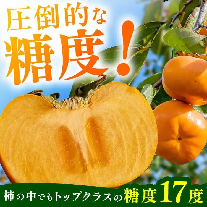 柿 秋玉 3.5kg【先行予約2026年10月下旬より発送】[AFAB074] 柿 秋玉