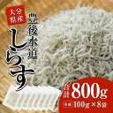 【ふるさと納税】 豊後水道産 しらす (合計800g・100g×8袋) 冷凍 しらす しらす丼 丼ぶり 魚 さかな ご飯 ごはん 炒飯 チャーハン パスタ サラダ 国産 大分県 パック 小分け 便利 大分県 佐伯市【CT08】【 (有)高橋商店】