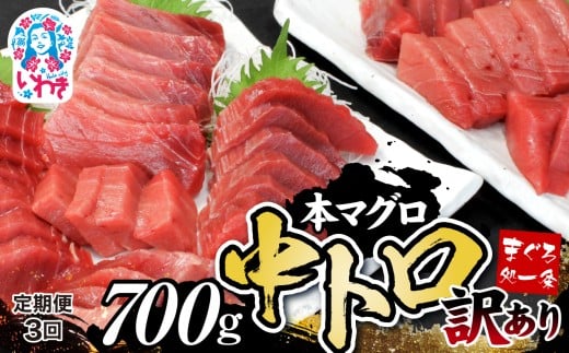 【定期便/計3回】本マグロ訳あり中トロ700g（計2.1kg）|鮪 本鮪 本まぐろ マグロ トロ とろ 刺し身 さしみ さかな 海鮮 寿司 解凍レシピ付