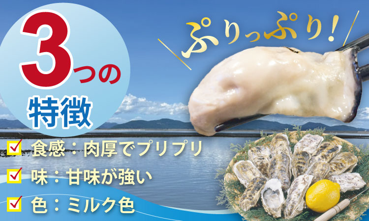 【先行予約】【2月配送】※指定日必須※ 天然 有明海産 冷蔵スミノエ牡蠣 殻付き スミ☆スター5キロ ハクエイ水産