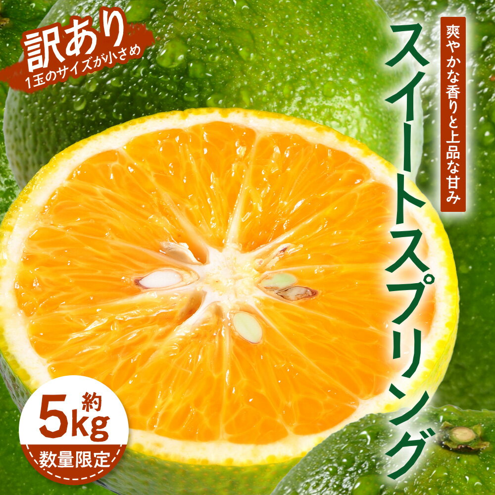 【ふるさと納税】【訳あり】【数量限定】鹿児島県南大隅町産 スイートスプリング （S～M玉） 約5kg 【2025年12月中旬以降順次発送】 SK-19 | 柑橘 フルーツ 国産 果物 みかん 期間限定 数量限定 産地直送 もぎたて 新鮮 果汁 たっぷり ミカン スイートスプリング 5kg 南大隅