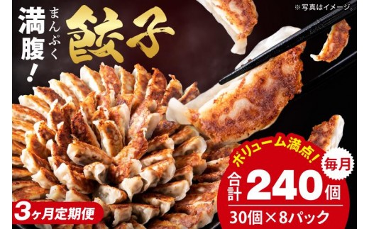 【3ヶ月定期便】満腹餃子 リピーター続出！ボリューム満点！240個（6kg）×3回【老舗 大容量 国産 焼き餃子 冷凍 ぎょうざ ギョーザ 冷凍餃子 簡単調理 惣菜 おかず 水戸市 水戸 茨城県 】（EJ-20）