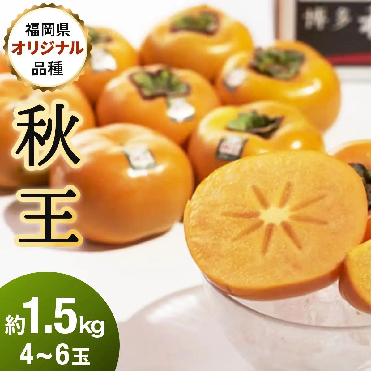 【先行予約】福岡産(柿)秋王(あきおう)約1.5kg箱(4-6玉)(篠栗町)【NF007】
